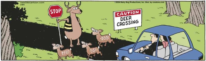 deer