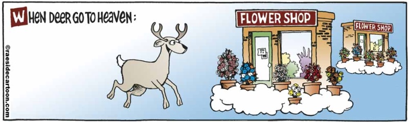 deerheaven
