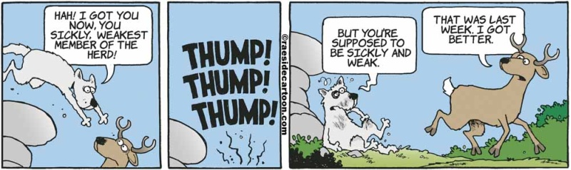 deerrecovered