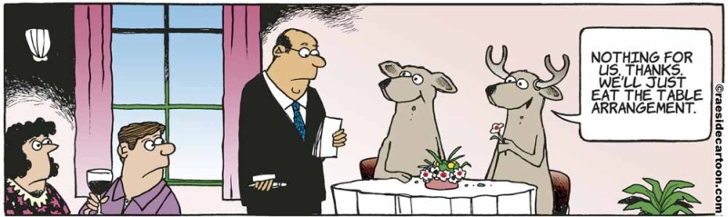deerrestaurant
