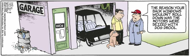 dogdrool