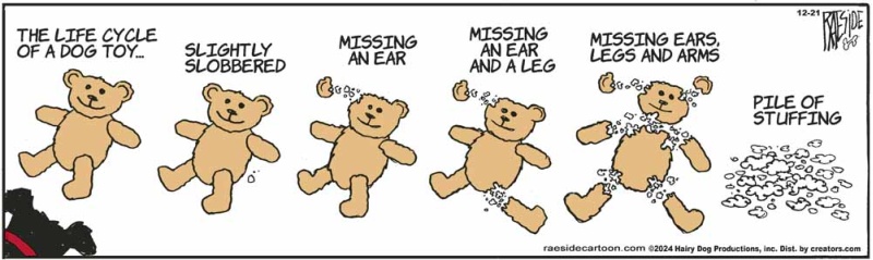 dogtoy