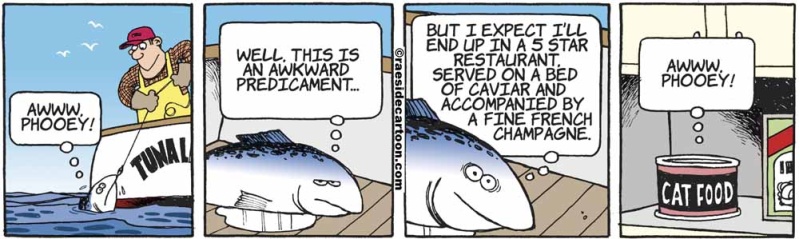 fishtunacatfood