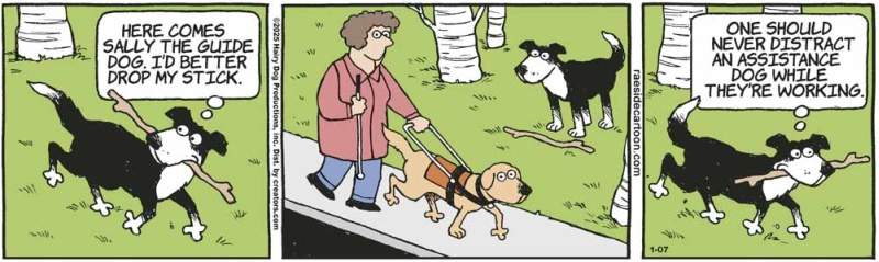 guidedog
