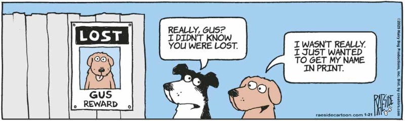 lostdog