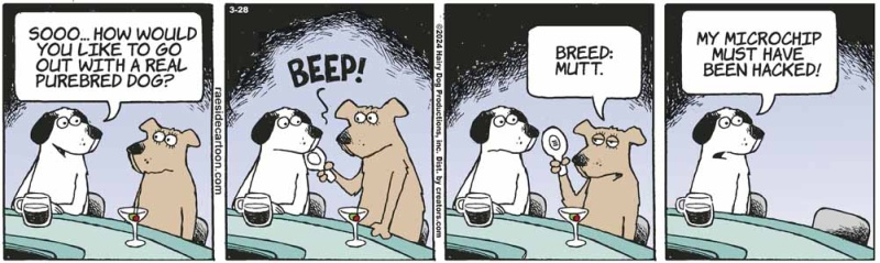 microchip