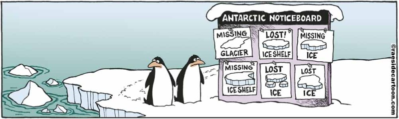penguinnoticeboard