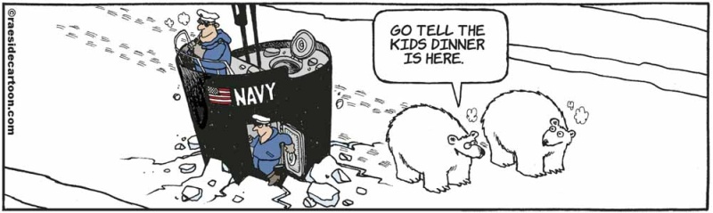 polarbears_sub