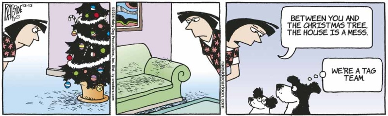 shedding
