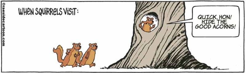 squirrelvisits