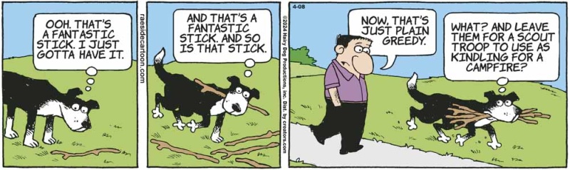 sticks