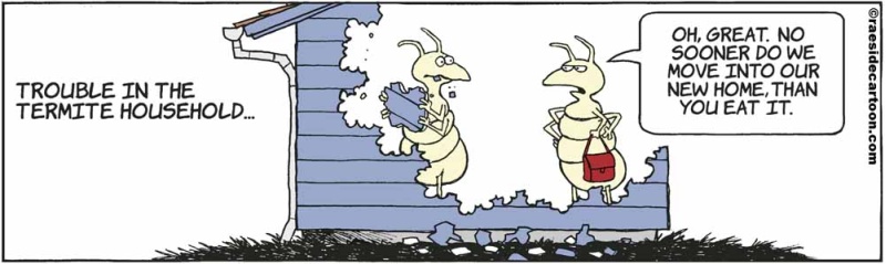 termitehome
