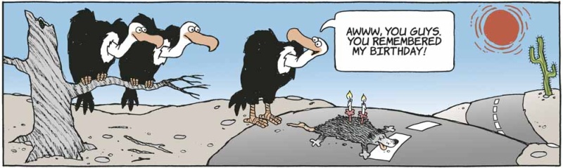 vulturesbirthday