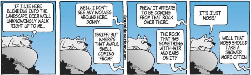 wolfodor