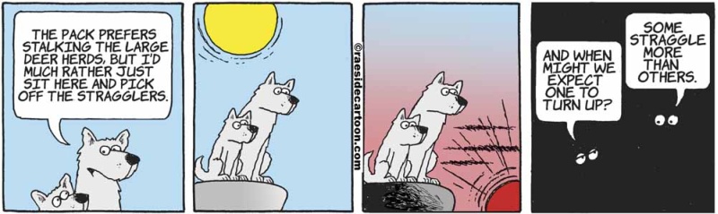 wolfstragglers