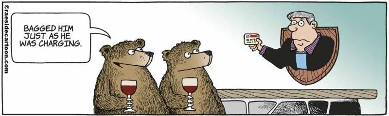 bearcharging