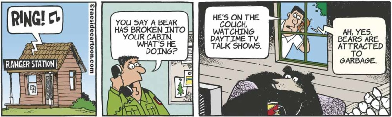 beartv