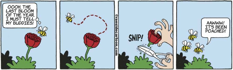 beesflower