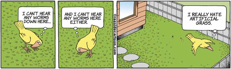 birdsgrass