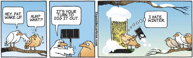 birdshovelling