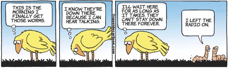 birdswormradio