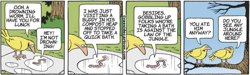 birdwormbath