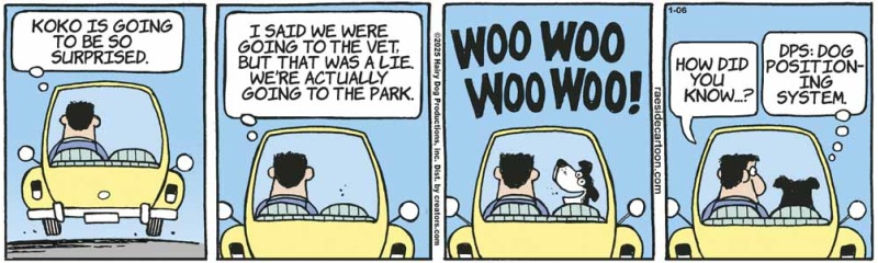carride_copy