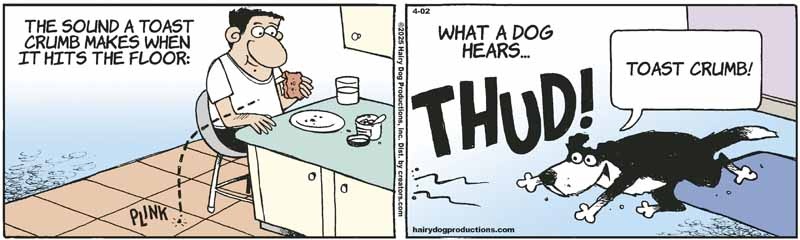 crumbs