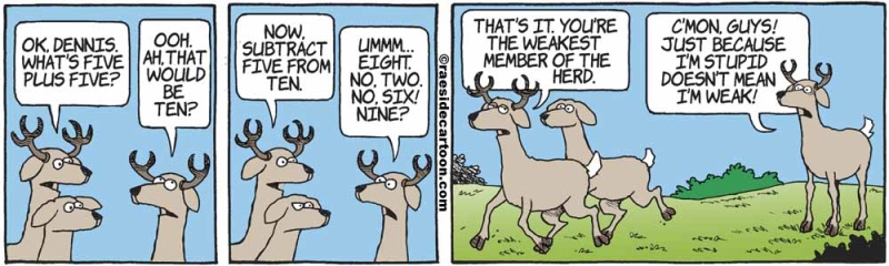 deertesting