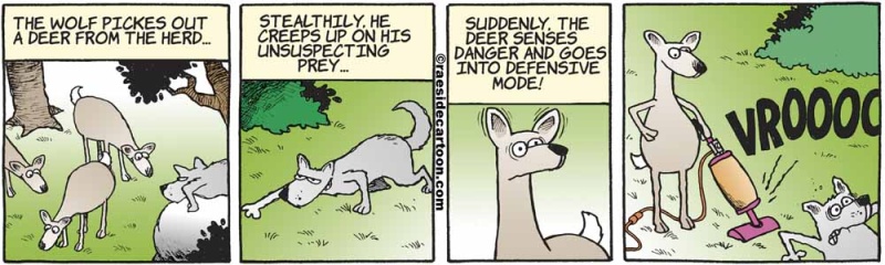 deervacuum