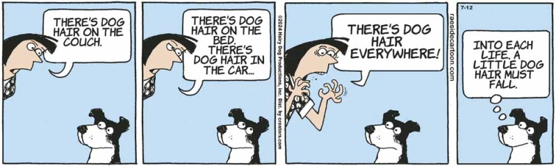 doghair