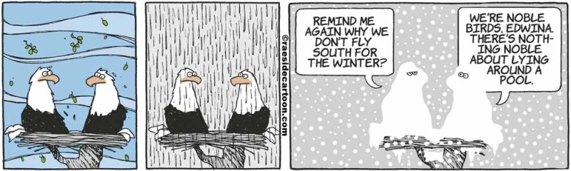 eaglewinter