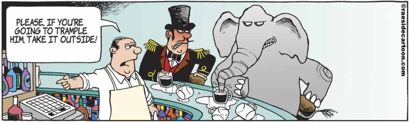 elephanttrainer