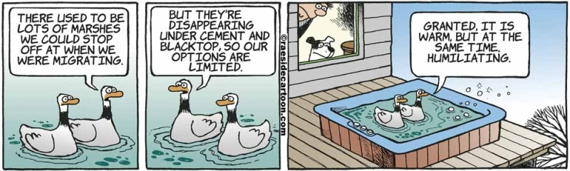 geesehottub