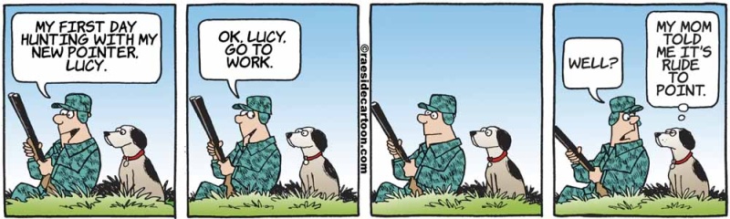 hunterpointer