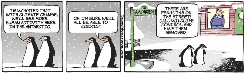 penguincoexist
