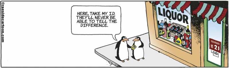 penguins