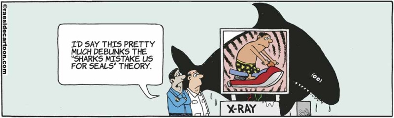 sharkxray