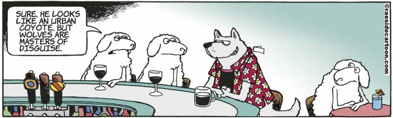 sheepdisguise