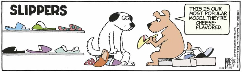 slippers
