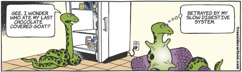 snakefridge
