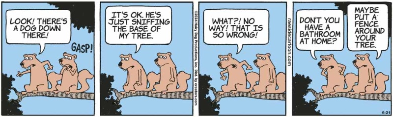 squirrelsdogs