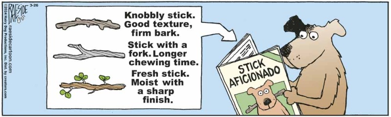 stick