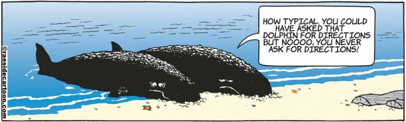 whaledirections