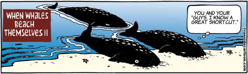 whaleshortcut