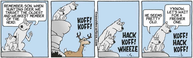 wolffresherone