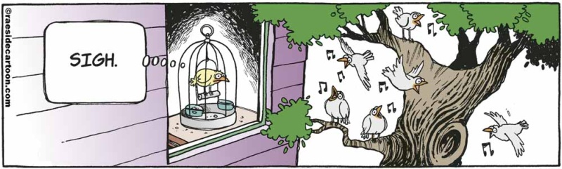 birdcage