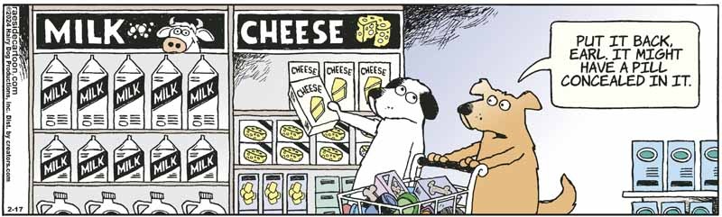 cheese