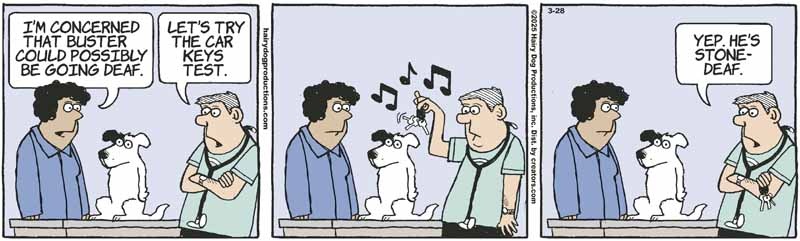 deafdog