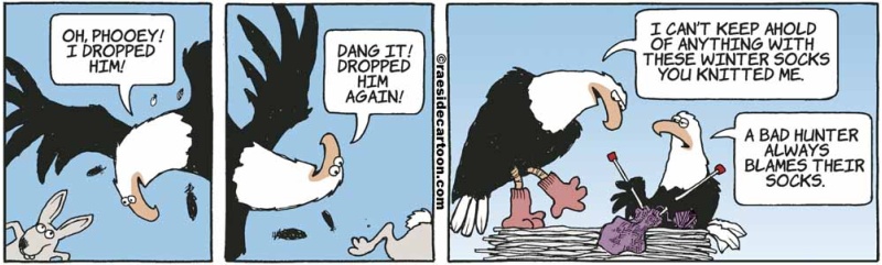 eaglesocks